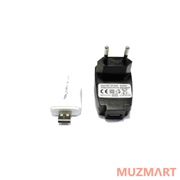 Triumph DUAL/MULTI TOUCH Wireless Upgrade Kit Комплект для беспроводного подключения