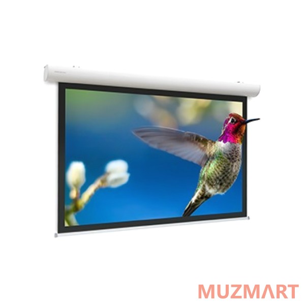 Projecta Projecta Elpro Concept [10143541] 191x300 см Проекционный экран