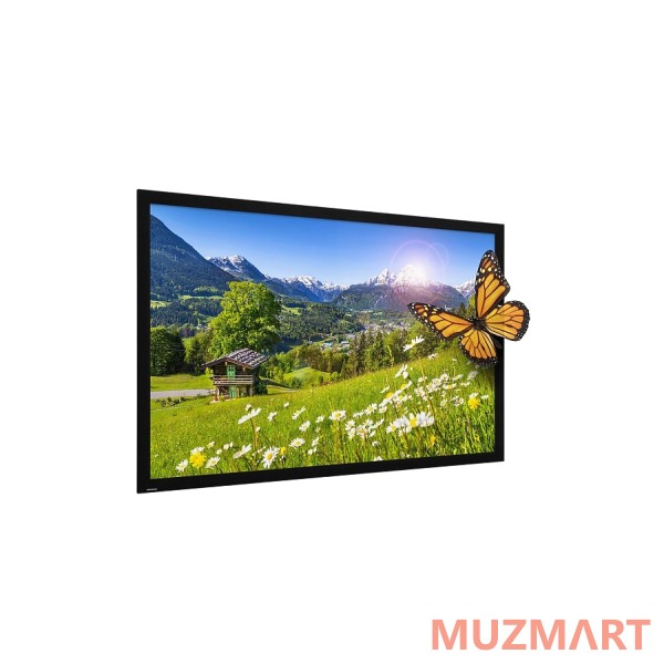 Projecta HomeScreen Deluxe [10600486] Экран со стационарной рамой, 151x256см