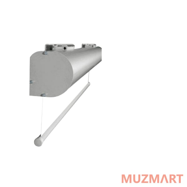 Projecta Master Electrol (10130236) Проекционный экран с электроприводом 300x500 см