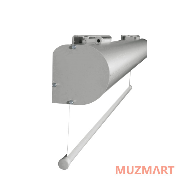 Projecta Master Electrol (10130237) Проекционный экран с электроприводом 300x500 см