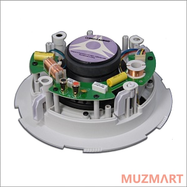 Current Audio CS800DTFL Акустическая система