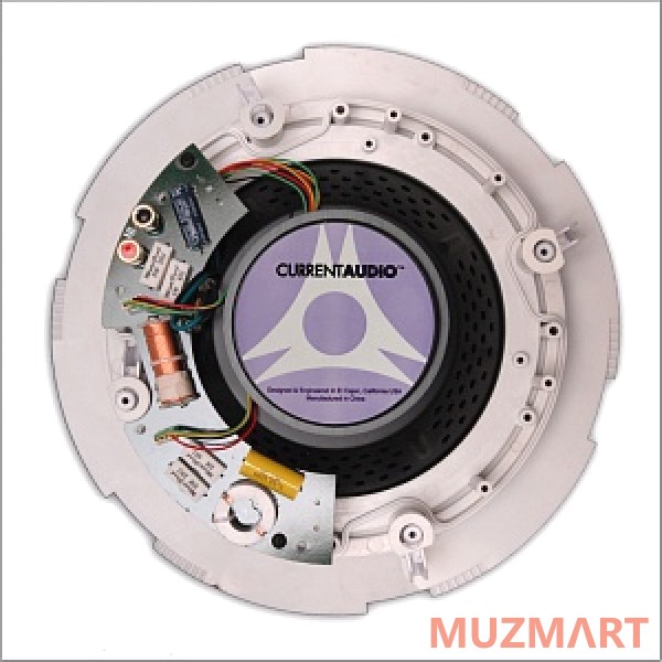 Current Audio CS802FL Акустическая система