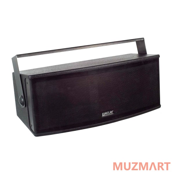 Ecler DACORD H206IBK Акустическая система
