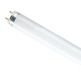 Osram L36/765 G-13 Люминесцентная лампа 36Вт