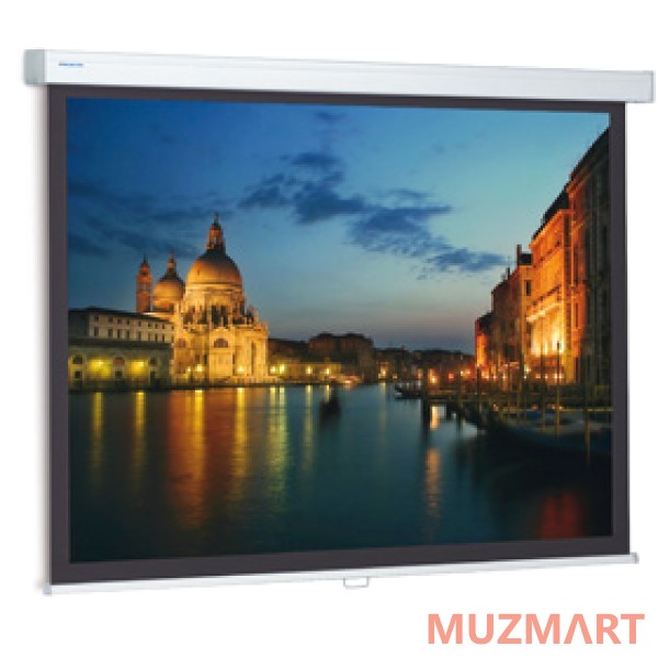 Projecta ProScreen [10200121] Настенный подпружиненный экран, 220x220см