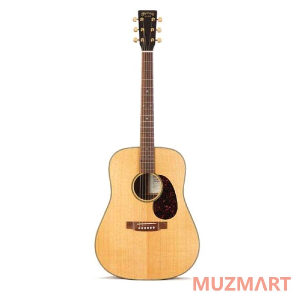 Martin Guitars SWDGT акустическая гитара с кейсом
