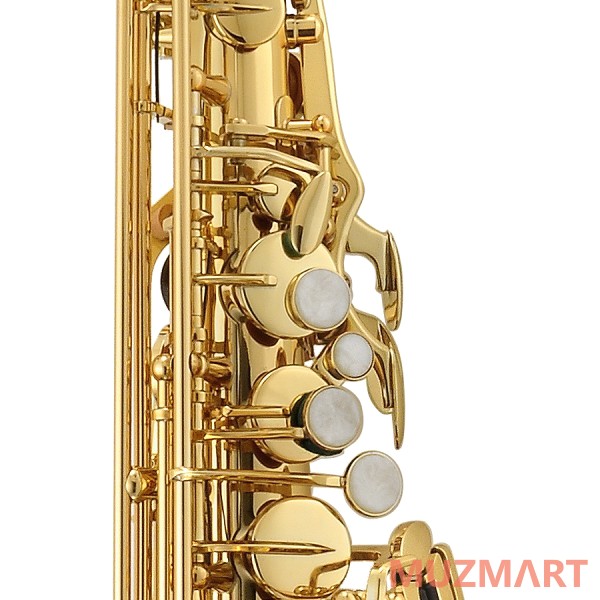Sebastian SAS-5500 Альт саксофон