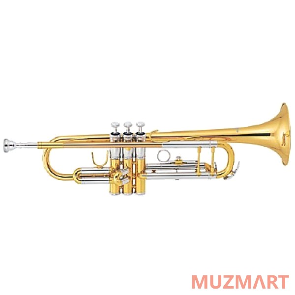 Sebastian STR-430G Труба Bb
