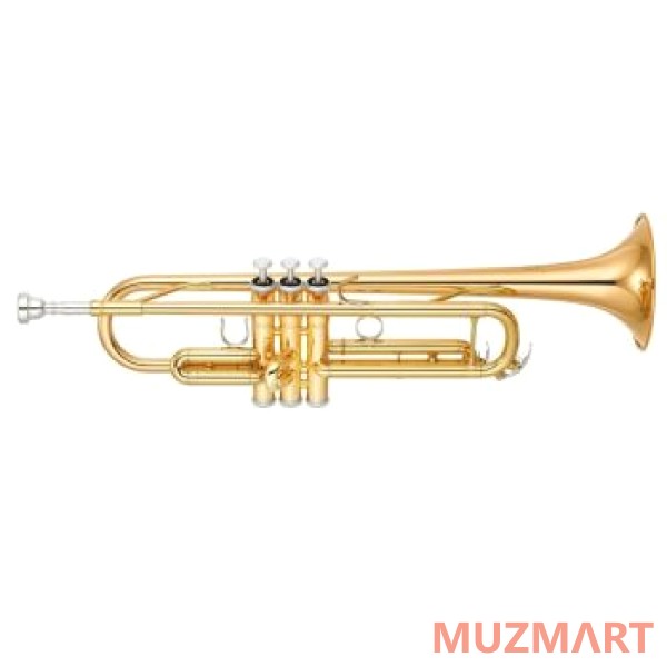 Sebastian STR-700G Труба