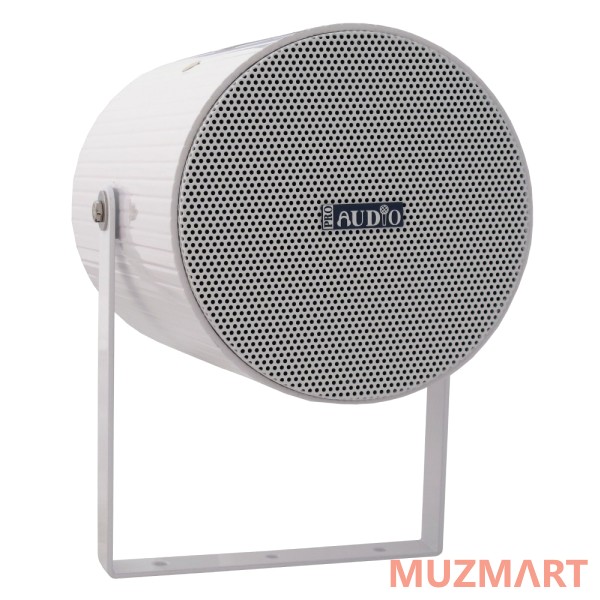 Proaudio ES-120D Точечный громкоговоритель
