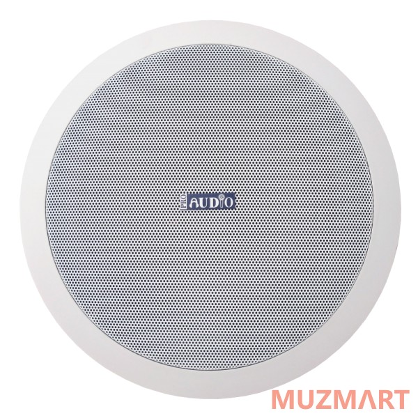 Proaudio CS-20 Потолочный громкоговоритель