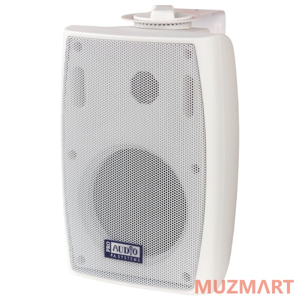 Proaudio SWM-4B Настенный громкоговоритель