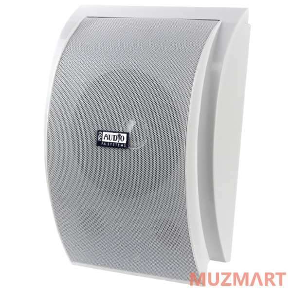 Proaudio SWM-5H Настенный громкоговоритель