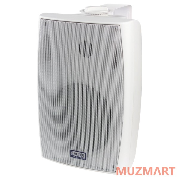 Proaudio SWM-6B Настенный громкоговоритель