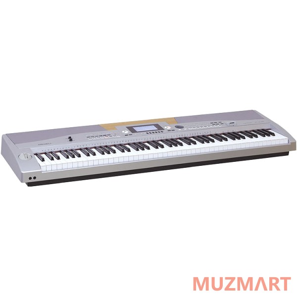 Medeli SP5500 Фортепиано компактное