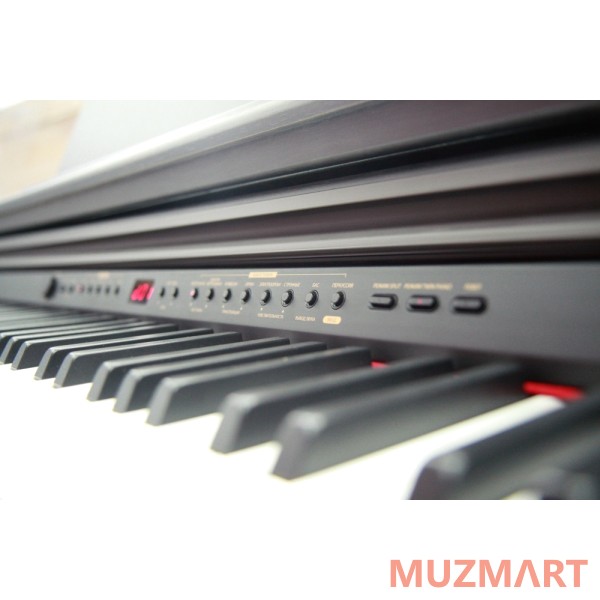 Alina Pro Venice SP-250 Цифровое фортепиано