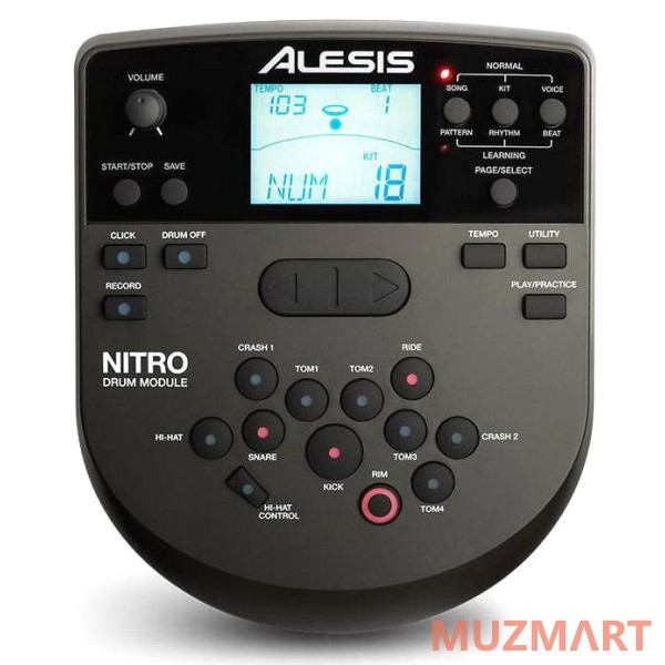 Alesis NITRO KIT Электроная барабанная установка