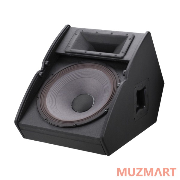 Electro Voice TX1152FM Пассивный сценический монитор