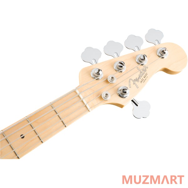 Fender AM PRO JAZZ BASS V MN BK Бас-гитара 5-ти струнная