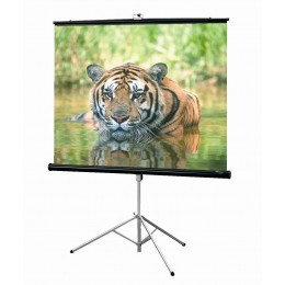 Draper Consul AV (1:1) 40/40" 102*102 XT1000E (MW) Мобильный экран