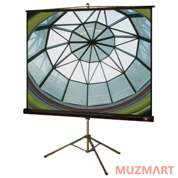 Draper Diplomat AV (1:1) 50/50" 127*127 XT1000E (MW) Мобильный экран