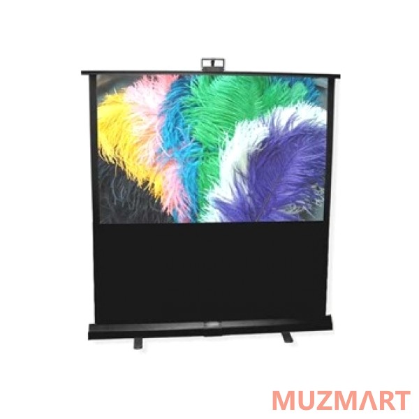 Draper Piper HDTV (9:16) 169/66-1/2" 83*147 XT1000E (MW) Портативный экран