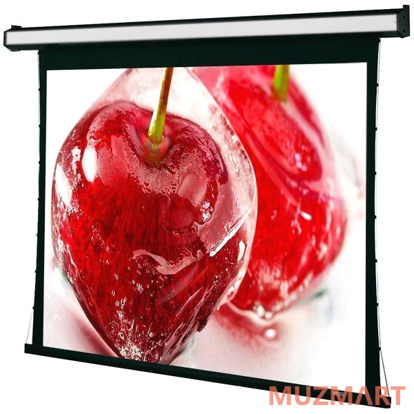 Draper Premier HDTV (9:16) 254/100" 124*221 XT1000V (M1300) ebd 12" case white Экран с электроприводом