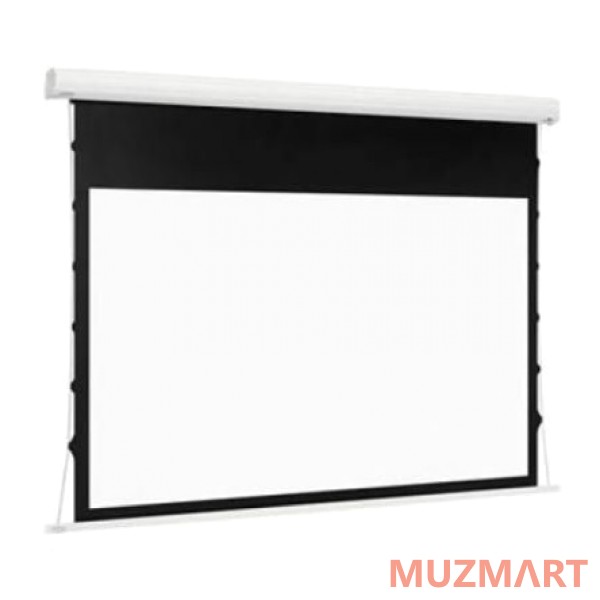 Euroscreen One Electric Video (4:3) 180*170cm (VA170*127,5cm) GreyLight case mattAlu Экран с электроприводом