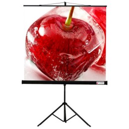 ViewScreen Clamp (1:1) 160*160 MW Мобильный проекционный экран
