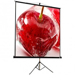 ViewScreen Clamp Pro (1:1) 244*244 (236*236) MW (TCP-1106) Мобильный проекционный экран
