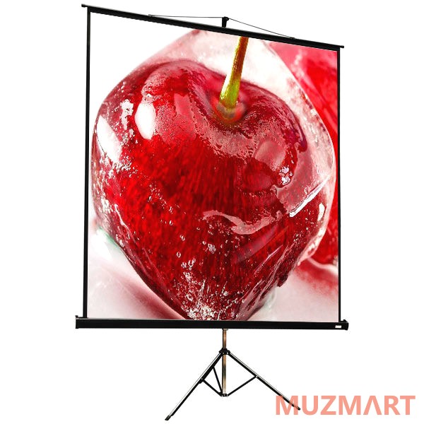 ViewScreen Clamp Pro (4:3) 171*128 (165*122) MW Мобильный проекционный экран