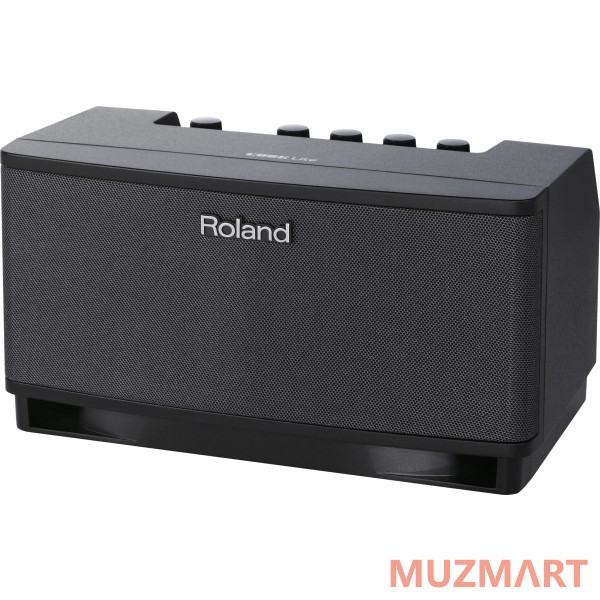Roland CUBE LITE BK Гитарный комбоусилитель
