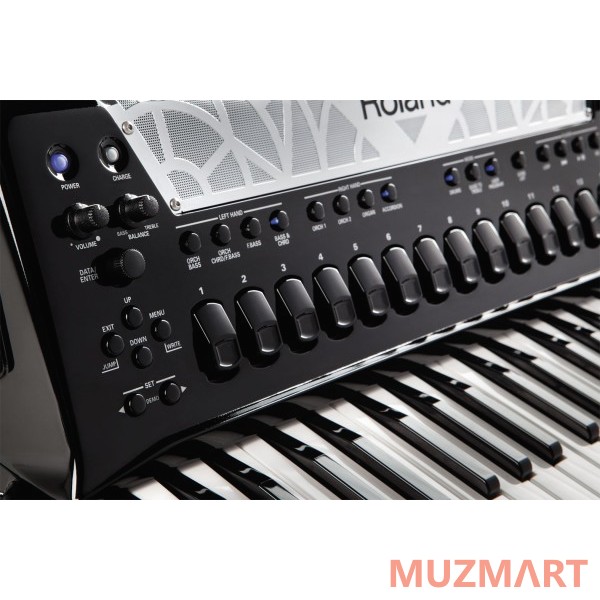 Roland FR-8X RD Цифровой аккордеон