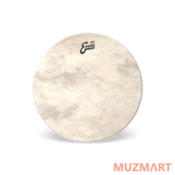 Evans BD22GB4CT Пластик 22" для бас-барабана