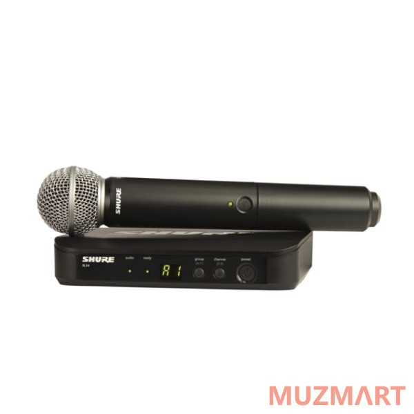 Shure BLX24E/PG58 M17 Радиосистема вокальная
