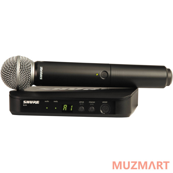 Shure BLX24E/SM58 M17 Радиосистема вокальная