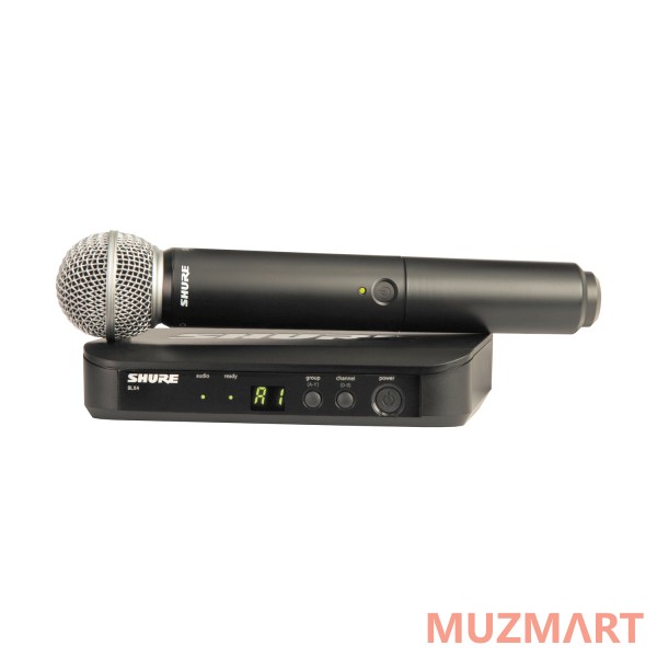 Shure BLX24RE/PG58 M17 Радиосистема вокальная