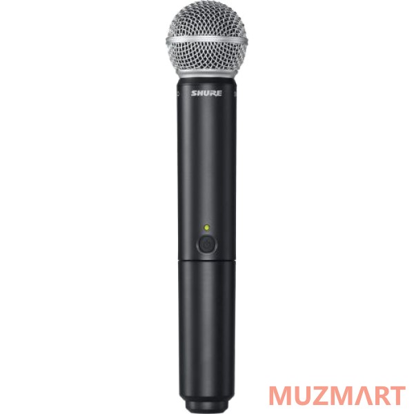 Shure BLX288E/SM58 M17 Двухканальная вокальная радиосистема