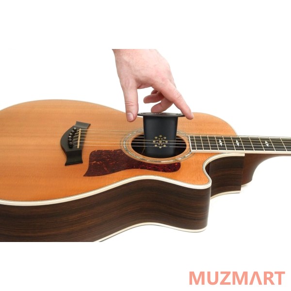 Planet Waves GHP Увлажнитель для гитары