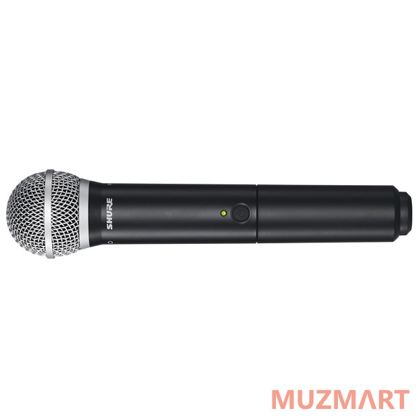 Shure BLX1288E/P31 M17 Двухканальная радиосистема
