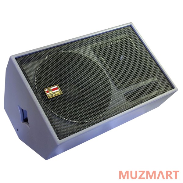 Eurosound La Bomba SM-115T Туровый монитор