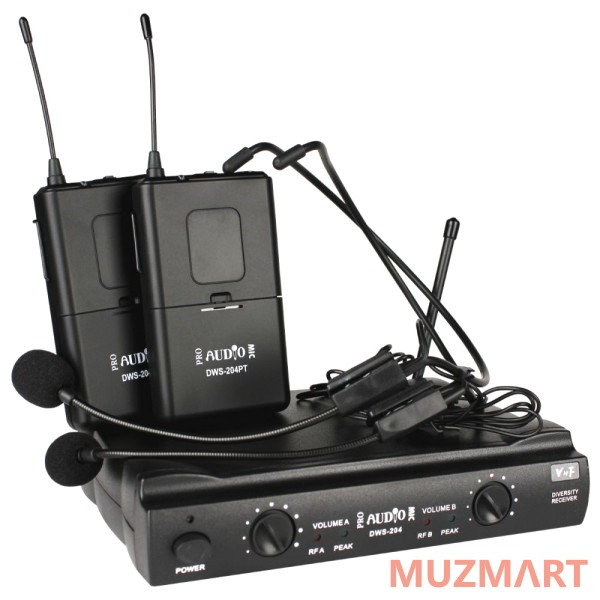 Proaudio DWS-204PT Беспроводная радиосистема