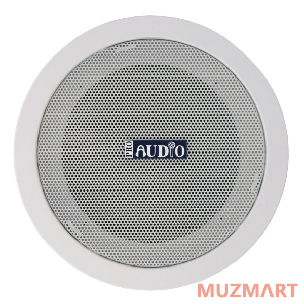 Proaudio CS-A1 Потолочный громкоговоритель