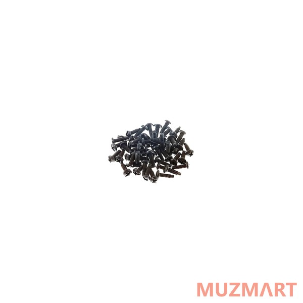 Wize Pro Screw500 Набор винтов для рэковых стоек