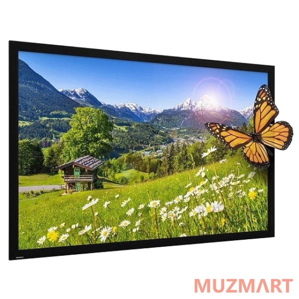 Projecta HomeScreen Deluxe 10690479 Экран со стационарной рамой