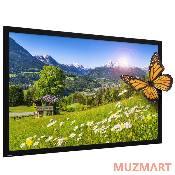 Projecta HomeScreen Deluxe 10600646/10690518 Экран со стационарной рамой