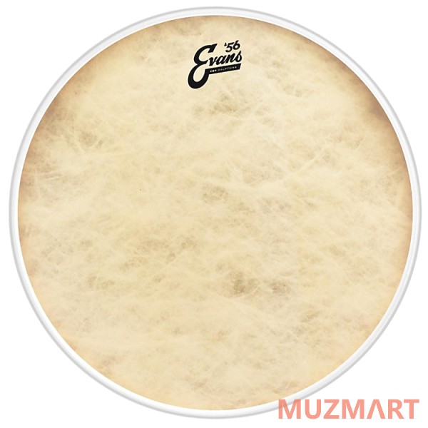 Evans BD16CT Пластик барабанный 16", Calftone