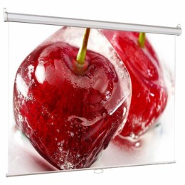 ViewScreen Scroll (1:1) 200*200 (200*200) MW Проекционный экран