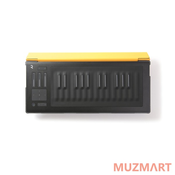 ROLI FLIPCASE AMBER Защитный кейс для RISE 25